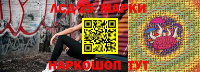 молекула духа Славянск-на-Кубани